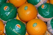 中國臍橙產(chǎn)區(qū)在哪里（中國臍橙產(chǎn)地有哪些）