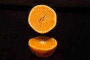 柑桔冬季修枝管理技術(shù)要點(diǎn)（柑桔冬季修枝管理技術(shù)要點(diǎn)有哪些）