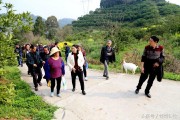 大分4號(hào)柑橘種植技術(shù)_陽(yáng)光1號(hào)柑橘幾月成熟