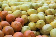 耙耙柑哪里產(chǎn)？探秘中國核心產(chǎn)區(qū)及果肉飽滿的耙耙柑特色