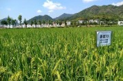 麗水市柑橘生產(chǎn)病蟲(chóng)害_磷酸二氫鉀在什么溫度用安全
