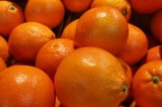 紅美人柑橘樹(shù)苗直播間：手把手教你種出高產(chǎn)甜蜜柑橘！