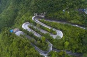 柑橘斜坡種植技術(shù)_還可以種點什么