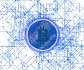 柑桔枝條修剪視頻全攻略：掌握關(guān)鍵技巧輕松提升果樹產(chǎn)量