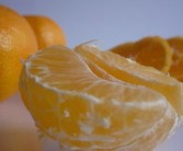 潮汕草藥風(fēng)桔（潮汕草藥風(fēng)桔圖片）