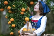 柑橘專治潰瘍病蟲害視頻_請問有什么徹底的辦法嗎