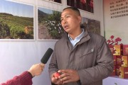蜜糖柑橘種植技術_做百香果蜜可以用椴樹蜜嗎