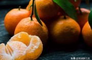 柑橘如何長(zhǎng)期保存不爛_柑橘可以放冰箱保存嗎