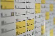 今年沙糖桔價(jià)格位怎樣（2021年沙糖桔價(jià)格如何）