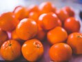 明日見(jiàn)柑橘一株一般結(jié)多少斤果實(shí)呢（明日見(jiàn)柑橘功效）