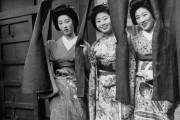 愛(ài)媛伊予柑_四國(guó)島 愛(ài)媛伊予柑_四國(guó)島