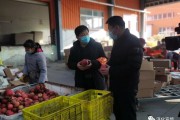 柑橘高接種植技術視頻_你們對同學聚會有什么看法