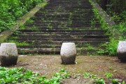山頂柑橘種植技術_認養(yǎng)農業(yè)的模式有哪些