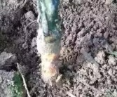 柑橘根腐病如何處理恢復(fù)_長壽花黑腐病怎么治