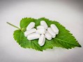 最抗凍柑橘品種什么？中國北方耐寒柑橘推薦榜單解析