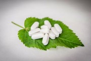 最抗凍柑橘品種什么？中國(guó)北方耐寒柑橘推薦榜單解析