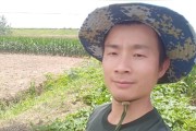 柑橘哪些病蟲(chóng)害不能用藥_吡唑醚菌酯在柑橘的最佳使用時(shí)間