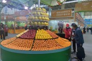 廣西靈山柑橘苗種植技術(shù)_初中文化的巧婦9妹靠農(nóng)業(yè)直播年收入1000萬