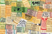 2023年早熟柑橘價格多少錢一斤？主產(chǎn)區(qū)行情走勢全面解析