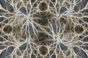 柑橘園種植技術(shù)：高效管理與科學(xué)栽培實(shí)踐指南