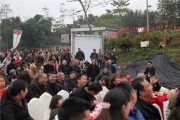 藏柑橘種植技術(shù)_桔子樹葉子掉了什么時候發(fā)芽