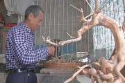 廣東揭陽柑橘種植技術_潮汕地區(qū)人口有多少人