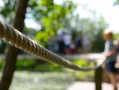 柑橘剛栽幼苗如何管理（新栽的柑橘苗需要剪枝嗎）