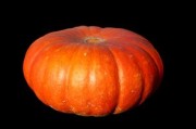 由良蜜桔和大分四號(hào)哪個(gè)好（由良蜜桔種植條件）