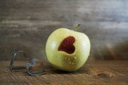 柑橘主要食用部分包括果肉、果皮及汁囊的結(jié)構(gòu)解析