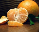 臍橙修枝方法（臍橙修剪技術(shù)指導(dǎo)）