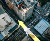 2025今年新會柑行情深度解析：價格走勢、產(chǎn)量預(yù)測與市場前景展望