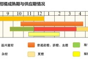 愛(ài)媛28號(hào)品種介紹_紅美人哪個(gè)品種最正宗 愛(ài)媛28號(hào)品種介紹_紅美人哪個(gè)品種最正宗
