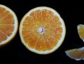 柑橘小實(shí)蠅用什么藥（柑橘小實(shí)蠅難防治）