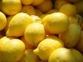 柑橘苗種植技術(shù)要點(diǎn)總結(jié)圖（柑橘苗栽植）