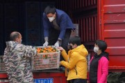 高要柑橘種植技術(shù)價格_甘油三酯偏高怎么辦