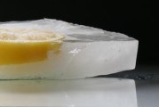 柑橘可以嫁接金桔嗎（柑橘可以嫁接檸檬嗎）
