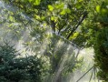 柑橘水肥管理技術(shù)視頻（柑橘水肥一體化視頻）