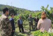 柑橘種植技術(shù)培訓(xùn)圖片_柑橘的種植方法