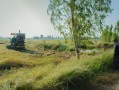 四川平泉荷橋村柑橘基地喜迎豐收，打造鄉(xiāng)村振興特色產(chǎn)業(yè)示范區(qū)