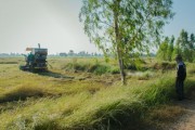 四川平泉荷橋村柑橘基地喜迎豐收，打造鄉(xiāng)村振興特色產(chǎn)業(yè)示范區(qū)