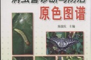 影響柑橘品質(zhì)的病蟲害_隨著氣溫的日益升高