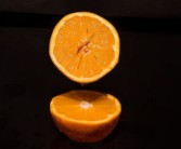柑橘冬剪藥先還修剪先（柑橘冬剪要點(diǎn)）