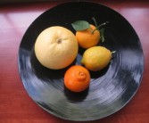 橘子橙子區(qū)別在哪里呢（橘子橙子區(qū)別百度百科）