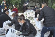 邛崍柑橘種植招聘技術(shù)員_現(xiàn)在沃柑銷售好嗎