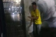 樂昌柑橘種植技術(shù)視頻講解_有些南方果農(nóng)把賣不掉水果倒掉