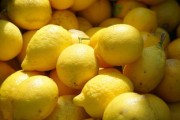 日本柑橘十大品種：人氣榜單與果香盛宴全解析