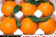 愛媛38的特點(diǎn)是什么(愛媛28與愛媛38的區(qū)別優(yōu)劣)