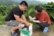 特派員柑橘病蟲(chóng)害_挖坑深埋會(huì)不會(huì)影響到地下水質(zhì)呢