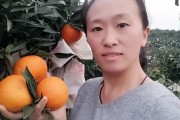 愛媛30號柑桔市場價(jià)_愛媛58號柑橘品種介紹