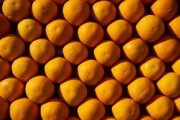 柑橘?；ū９幖雅浞剑ǜ涕俦；ū９r(nóng)藥最佳配方）